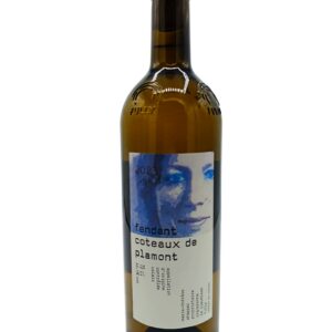 Marie-Thérèse Chappaz Fendant Coteaux de Plamont 2023.0