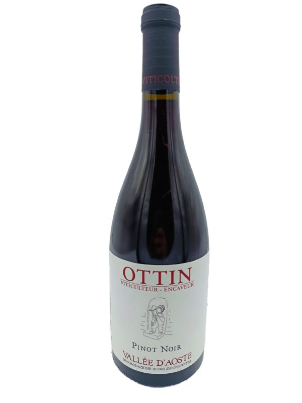 Elio Ottin Pinot Noir 2021.0