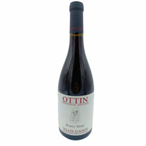 Elio Ottin Pinot Noir 2021.0