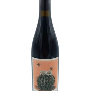 Matias Riccitelli Sobre Suelos Calcareos de Gualtallary Malbec 2020