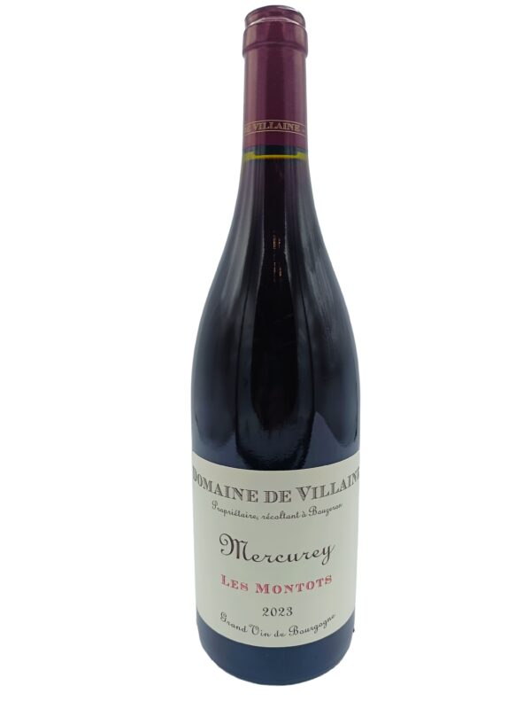 De Villaine Les Montots 2023.0