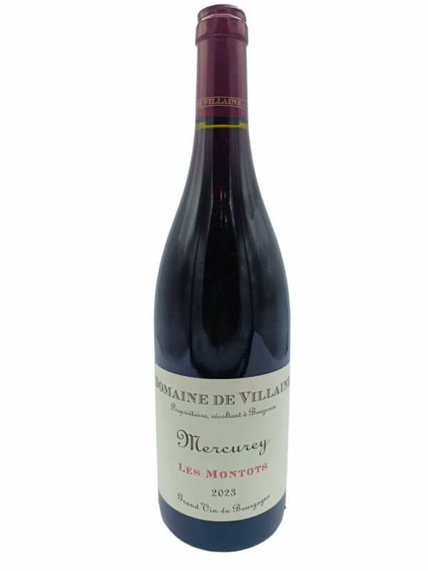 De Villaine Les Montots 2023.0