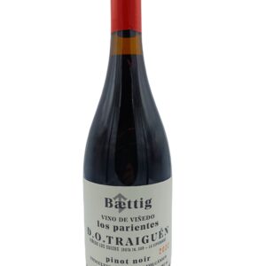 Baettig Los Parientes Pinot Noir 2022