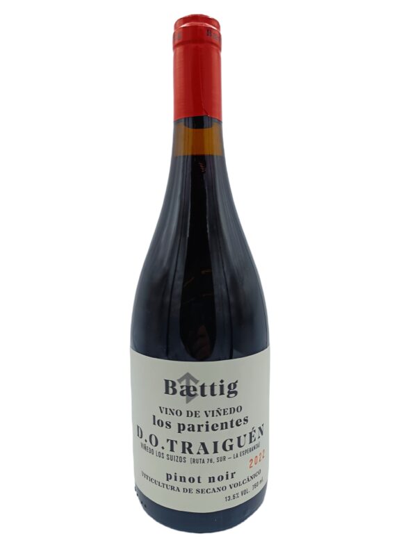 Baettig Los Parientes Pinot Noir 2022