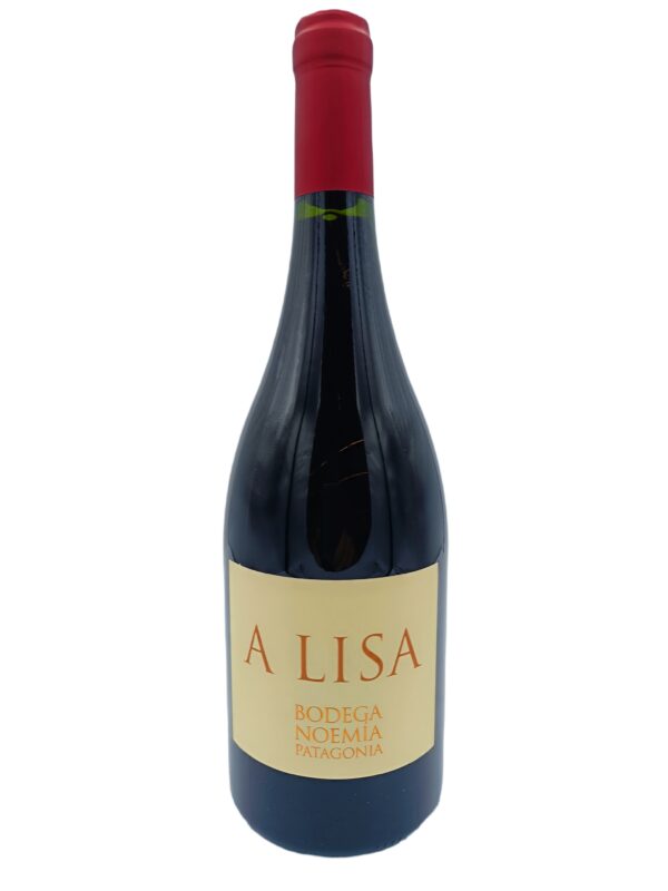 Bodega Noemia A Lisa 2021