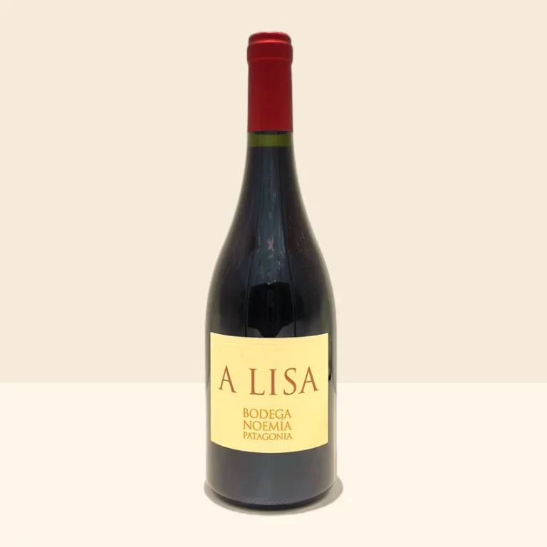 bouteille de Vin A Lisa Malbec de Bodega Noemia - 2022