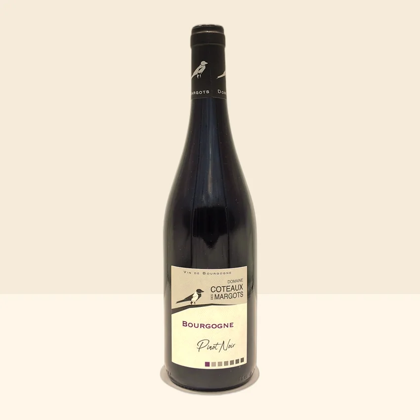 bouteille de Vin Bourgogne Rouge de Coteaux des Margots - 2024