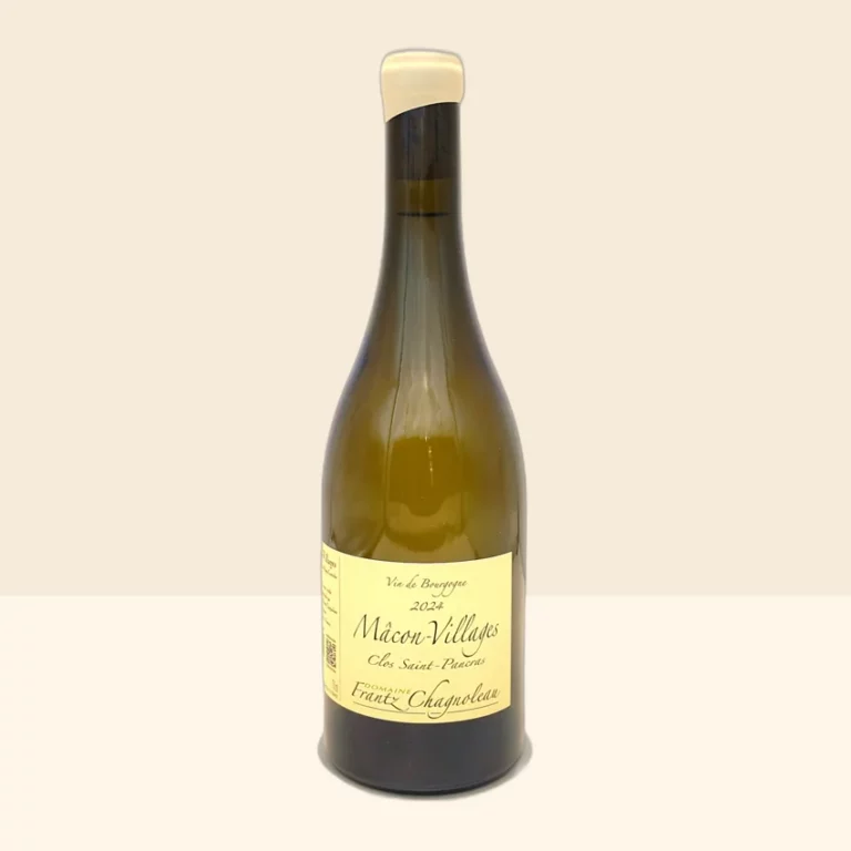 bouteille de Vin Clos Saint Pancras de Frantz Chagnoleau - 2024