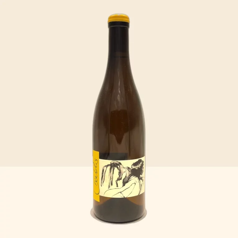 bouteille de Vin Chablis Vent d'Ange Mise Tardive de Pattes Loup - Thomas Pico - 2021