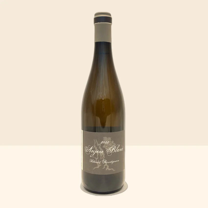 bouteille de Vin Anjou Blanc de Thibaud Boudignon - 2022