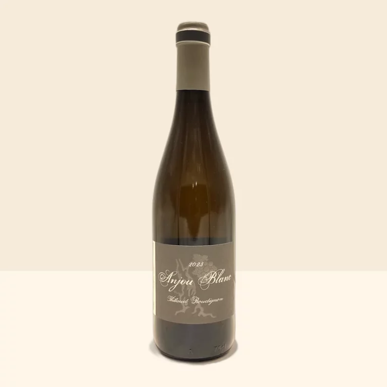 bouteille de Vin Anjou Blanc de Thibaud Boudignon - 2023