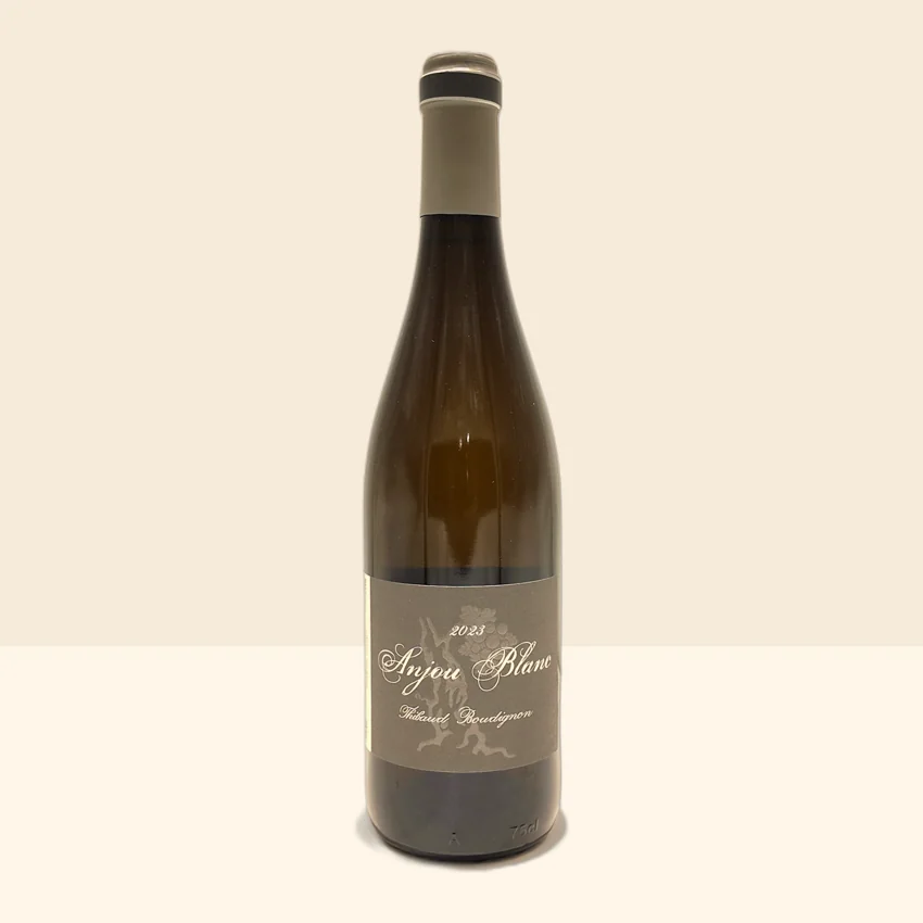 bouteille de Vin Anjou Blanc de Thibaud Boudignon - 2023