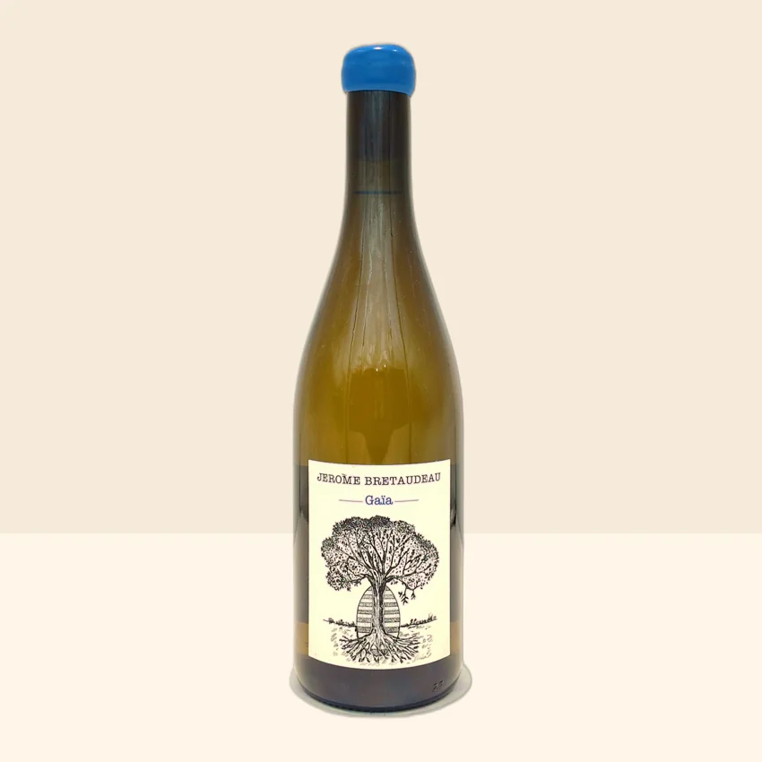 bouteille de Vin Gaïa de Jérôme Bretaudeau - 2022