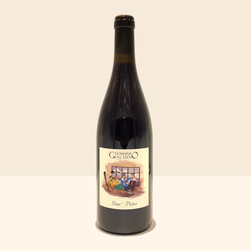 bouteille de Vin Giac Potes de Giachino - 2024