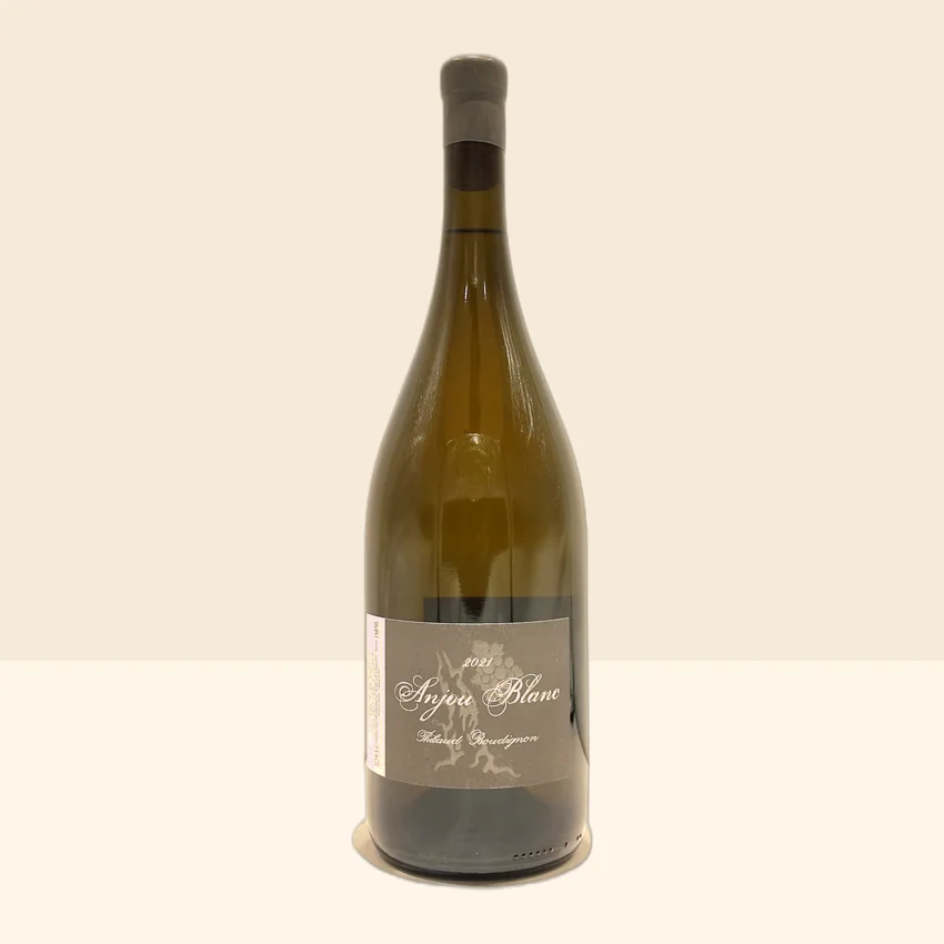 bouteille de Vin Anjou Blanc de Thibaud Boudignon - 2021