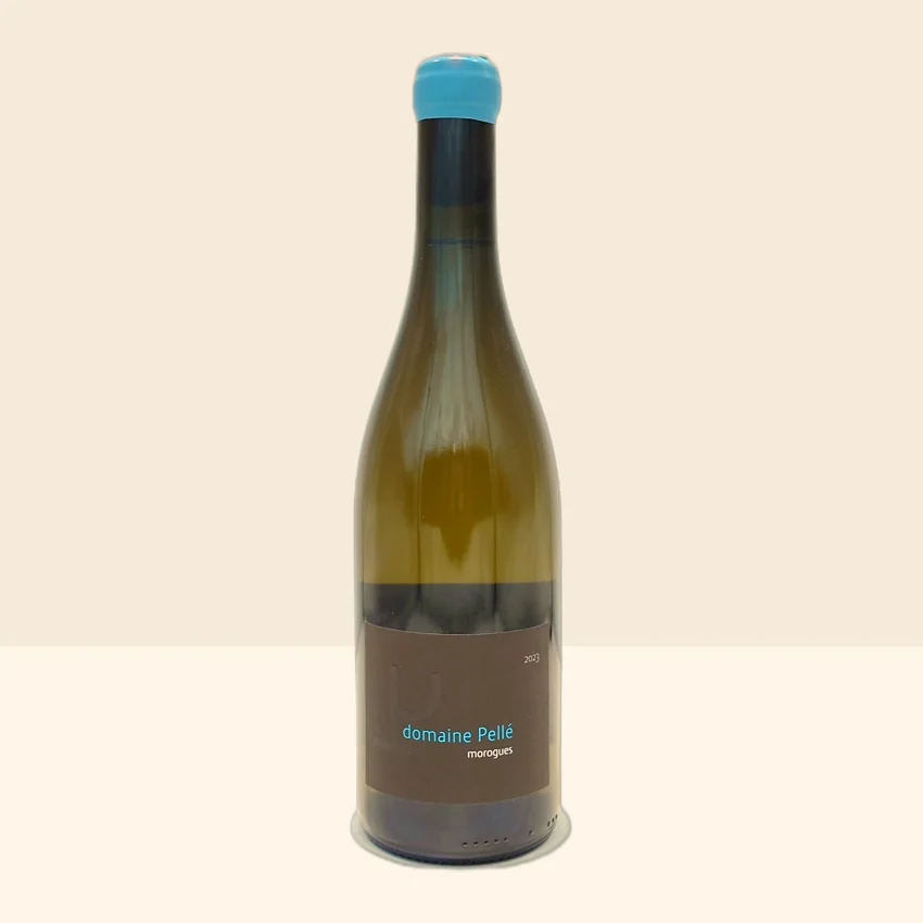 bouteille de Vin Morogues Blanc de Pellé - 2023