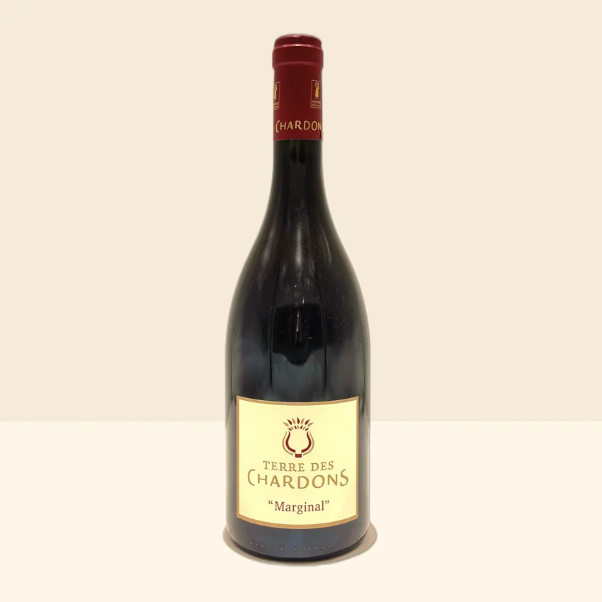 bouteille de Vin Marginal de Terre des Chardons - 2022